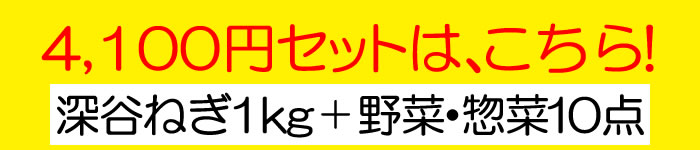 4100円はこちら